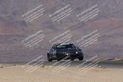 media/Oct-14-2023-Lucky Dog Racing (Sat) [[cef75db616]]/2nd Stint Turn 10/